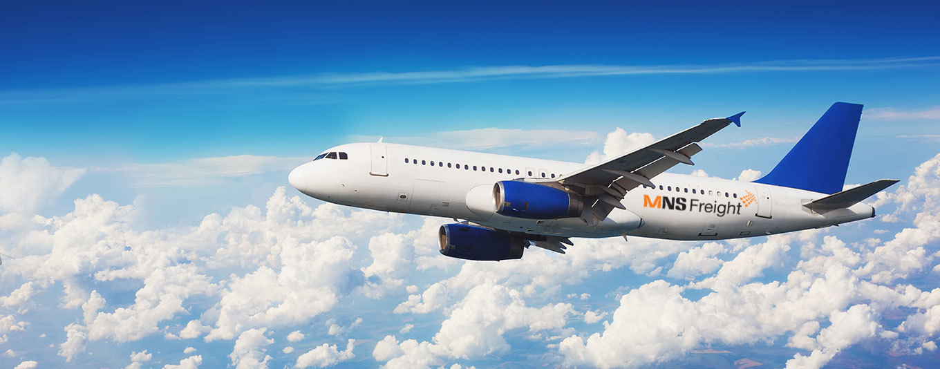 EU Import/Export Declarations